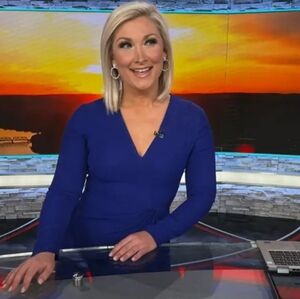 Shoshanna Lior Dress Women's 12 Royal Blue Midi Mini Dress Dazzle 4